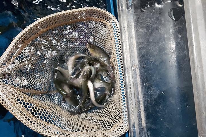 rusty hooks bait & tackle
